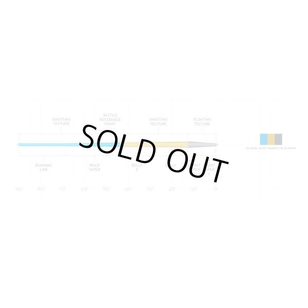 画像3: アンプリチュード　トラウト　 (3)