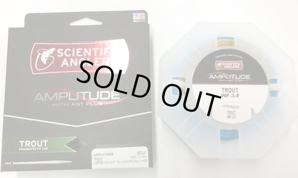 画像2: アンプリチュード　トラウト　 (2)