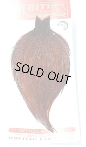 画像1: 　ホワイティングルースターケープ　カラー：コーチマンブラウン　 (1)