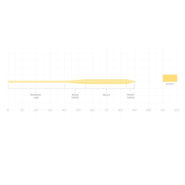 画像2: フリークエンシー　トラウト　ライン (2)