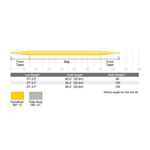 画像3: スープラ フィネスライン (3)