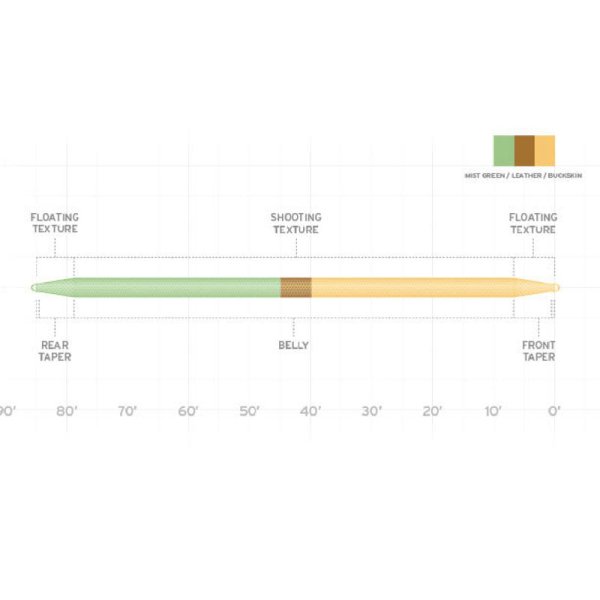 画像2: AMPLITUDE  DOUBLE  TAPER (2)