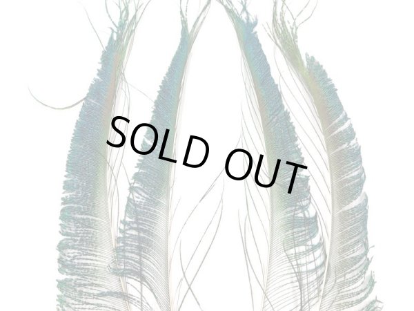 画像2: Peacock Sword   (2)