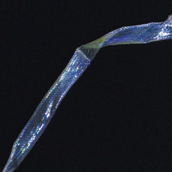 画像2: ワカサギチュービング　 (2)