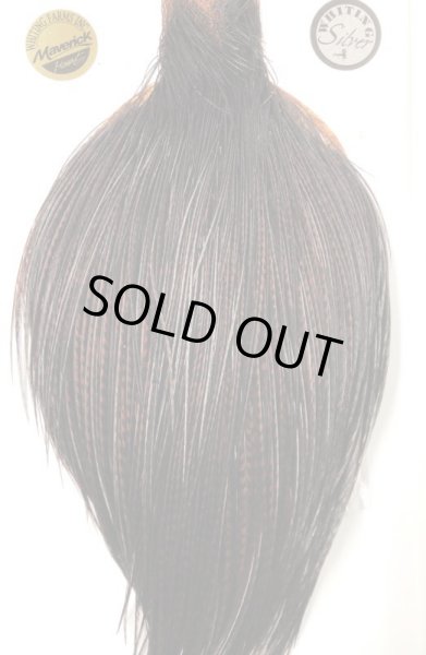 画像2: WHITING ROOSTER CAPS GRIZZY/ COAHMAN BROWN     SILVER  グレード (2)