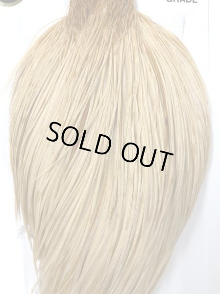 画像2: WHITING ROOSTER CAPS LT. GINGER      PRO  グレード (2)