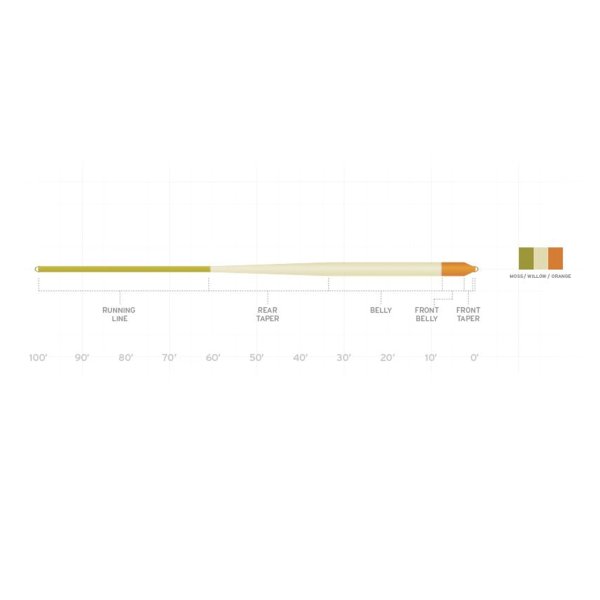 画像2: アンプリチュード アナドロ  ニンフライン (2)