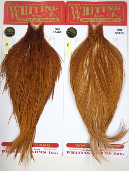 画像1: Whiting コックケープ　プログレード　Medium Ginger  (1)