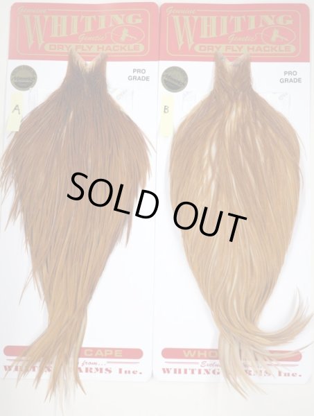 画像1: Whiting コックケープ　プログレード　Medium Ginger  (1)