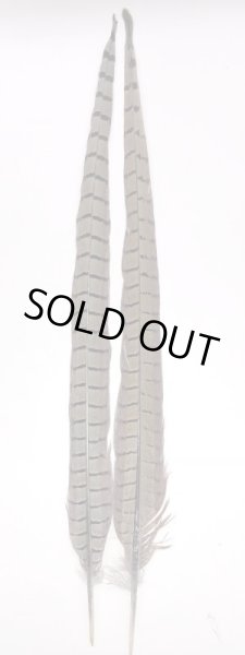 画像1: フェザントセンターテール　（ナチュラル） (1)