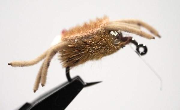 画像2: ソルト　デンジャーマフィンクラブ　#6 (2)