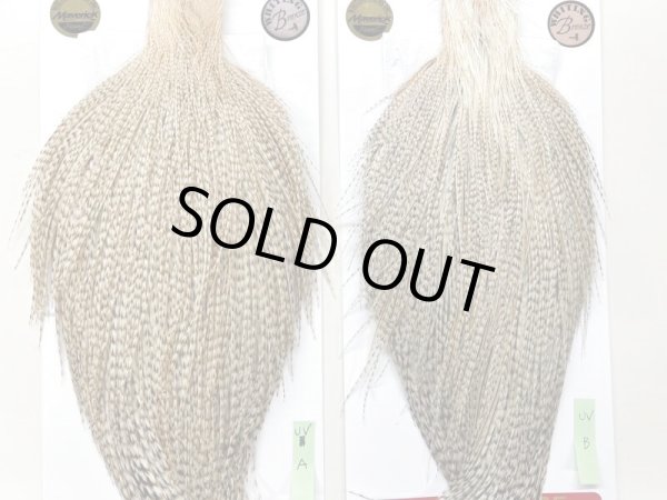 ブロンズ 左か A  B