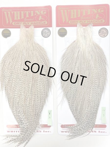 ブロンズ グレード 左 A  B