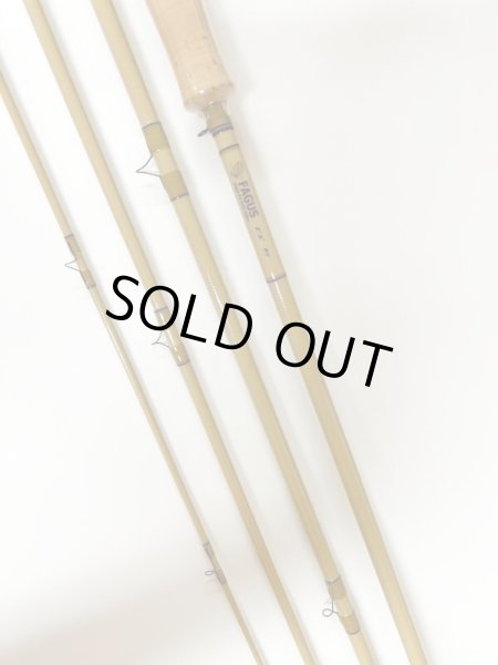 画像4: FAGUS FAST  FLIT  (4)