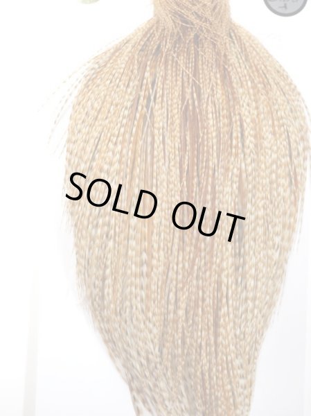 画像2: ホワイティングルースターケープ　シルバーグレード　カラー：ダークジンジャー　 (2)