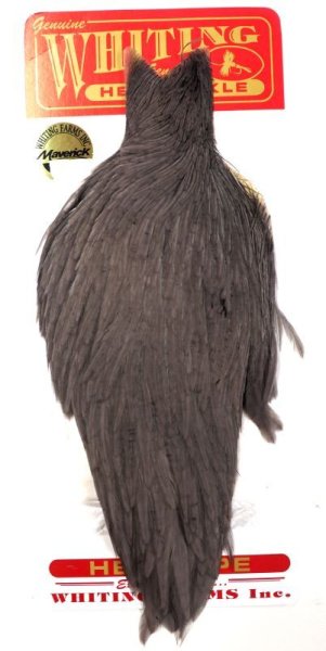 ミディアムダン