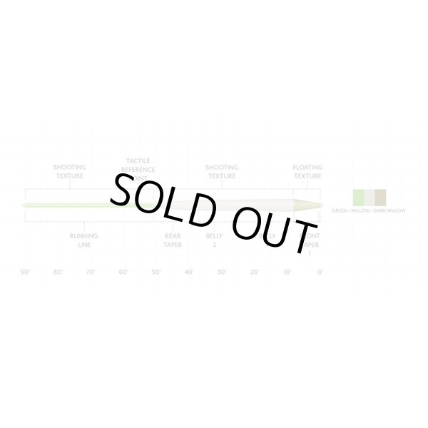 画像2: マスタリー アンプリチュード  TEXTURED    TROUT  STANDARD (2)