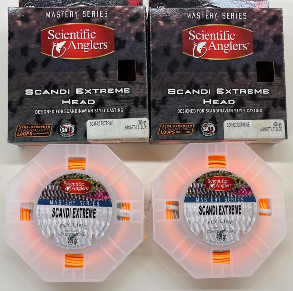 画像2: SKAGIT  EXTREME  HEAD    　　 (2)