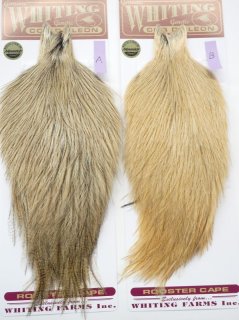 コックデレオン