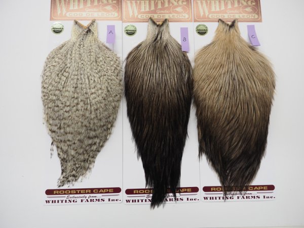 unique variant A B C