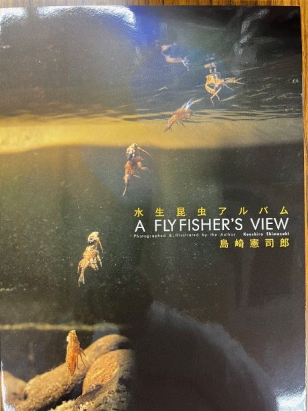 画像1: 水生昆虫アルバム　　島崎憲司郎 (1)