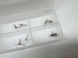 画像3: ドライフライのセット　　10個入り (3)