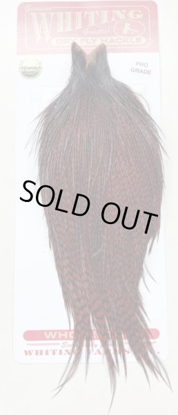 画像1: WHITING  ROOSTER CAPE   PRO GRADE      カラー：GRIZZLY / COACHMAN BROWN (1)