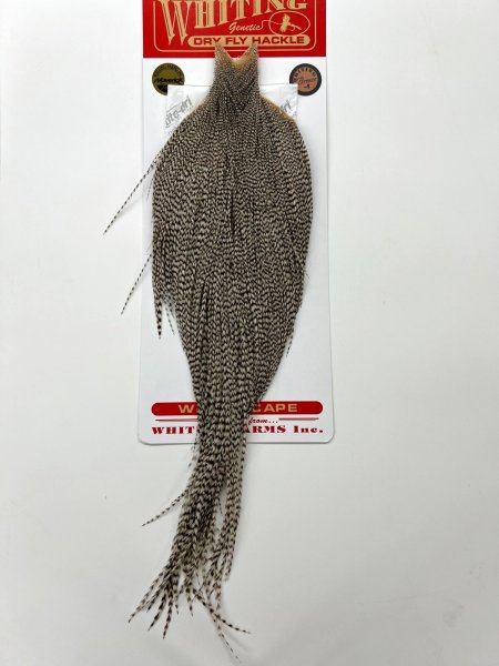 画像1: WHITING   CAPE    GRIZZLY     BRONZE (1)