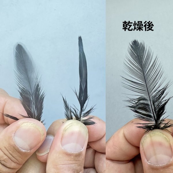 画像4: シマザキ　タイメイト (4)