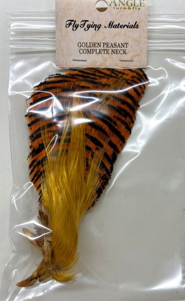 画像1: GOLDEN   PEASANT    COMPLETE   NECK    (1)