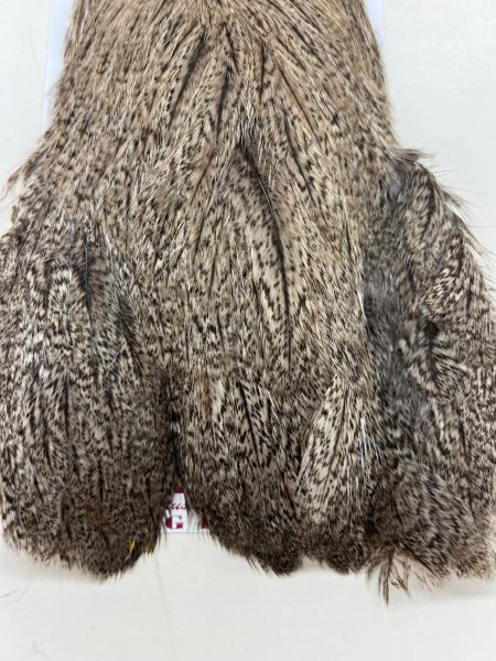 画像2: Coq de Leon Hen Cape Brown Speckled (2)