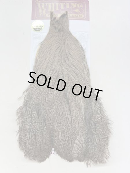 画像1: Coq de Leon Hen Cape Brown Speckled (1)