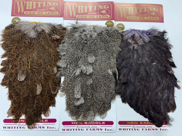 左から　G/S   S/S   S/L