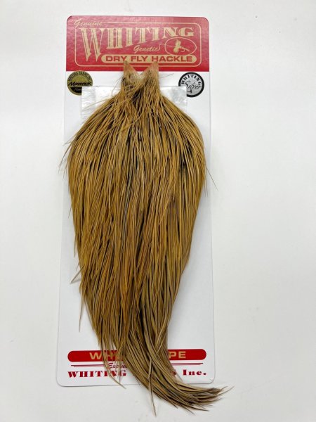 画像1: Whiting   Cape   カラー　Golden  Badger     グレード　Silver (1)