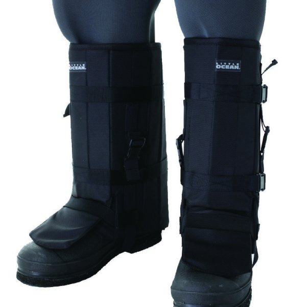 画像1: エイガード　III (1)