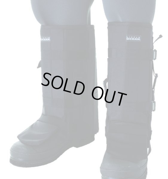 画像1: エイガード　III (1)