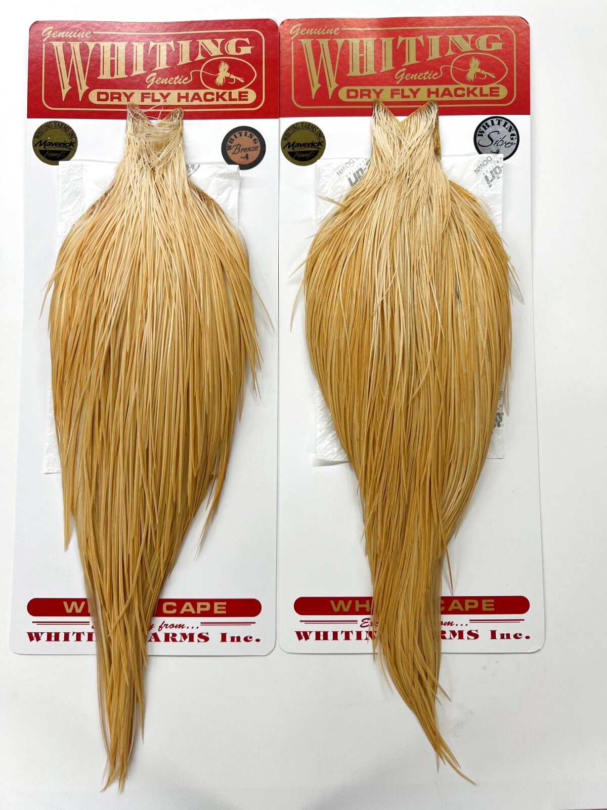WHITING   CAPE   LIGHT  GINGER   